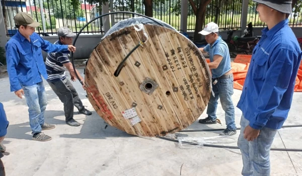 Khẳng định năng lực, hướng đến phát triển bền vững